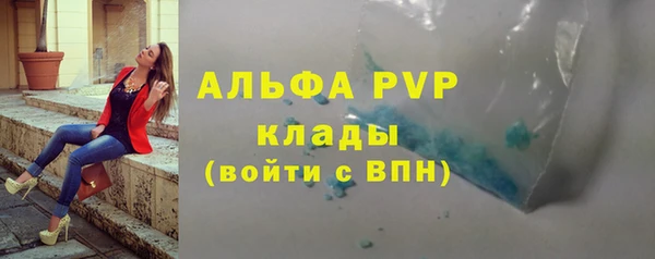 дмт Богданович